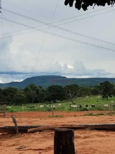 Fazenda à venda, 1157 m² por R$ 18.600.000,00 - Zona Rural - Alto Araguaia/MT