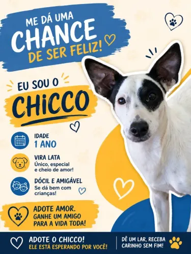Doação