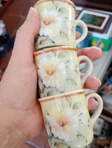Xícara café pintada a não sem Pires