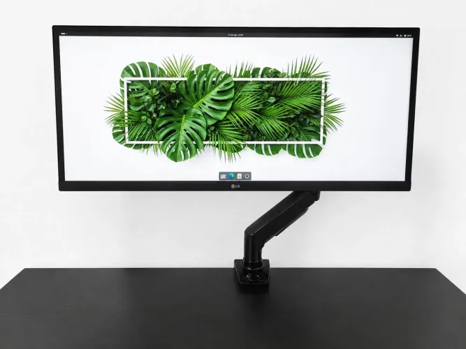 Monitor 29' LG ultrawide + braço articulado NB F80