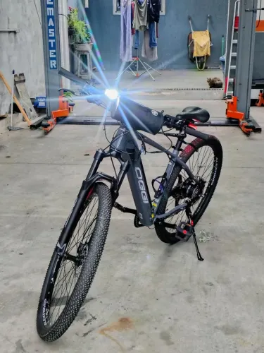 Ebike Oggi 8.0