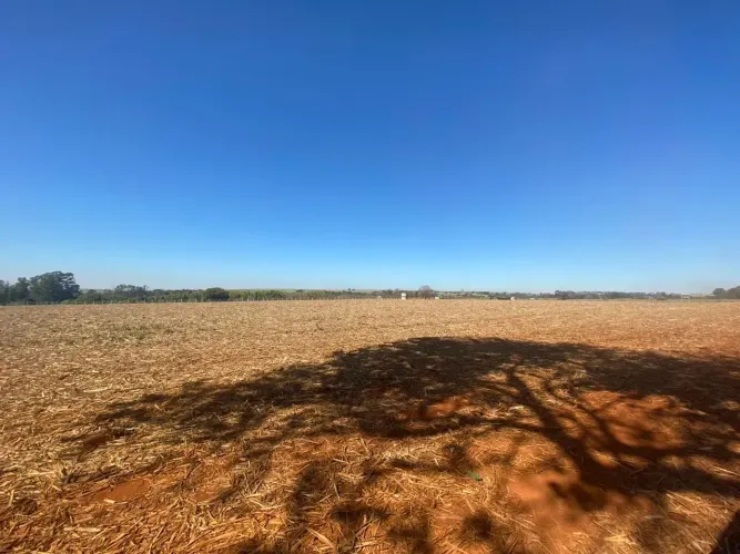Sítio de 05 alqueires de frente para a Castelo Branco em Cesário Lange - SP