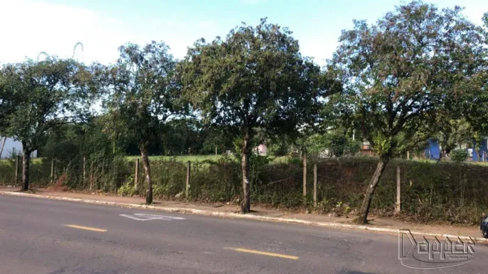 Terreno à Venda no Bairro Guarani: Oportunidade para Construção e Investimento