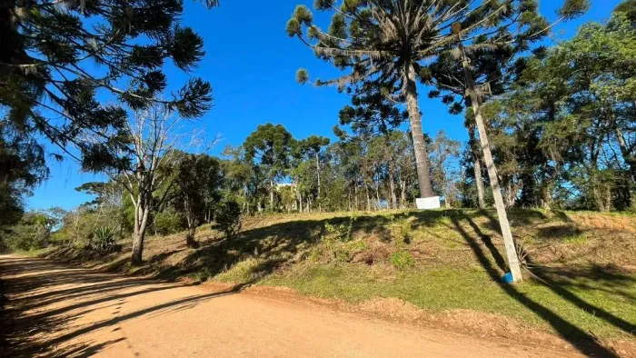 Chácara à venda, 5000 m² por R$ 480.000 - Vila David Antônio - Campo Largo/PR