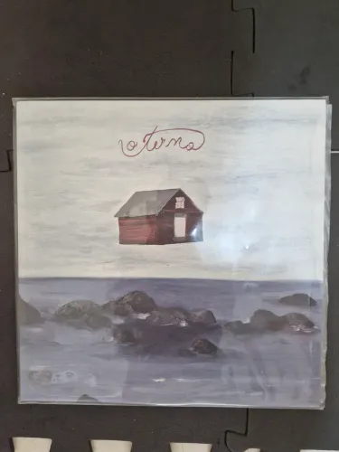 Disco de vinil LP - O Terno