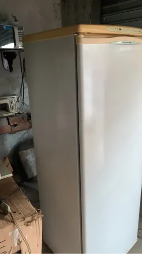 Freezer vertical