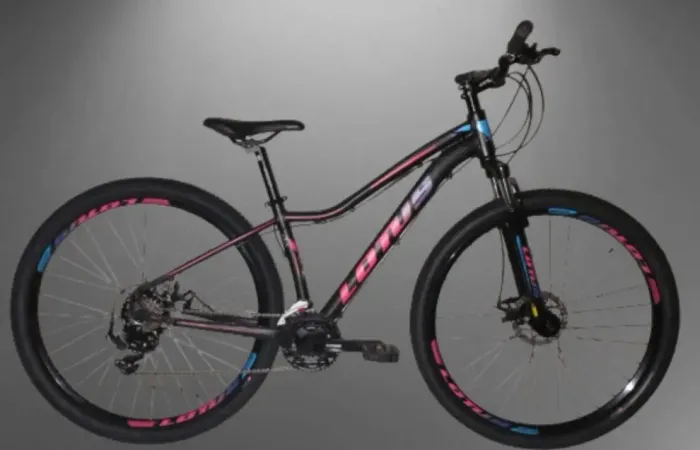 Bicicleta aro 29 Nova