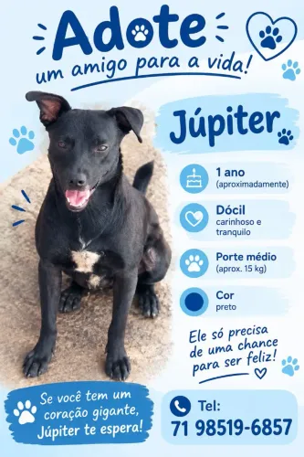 Adoção