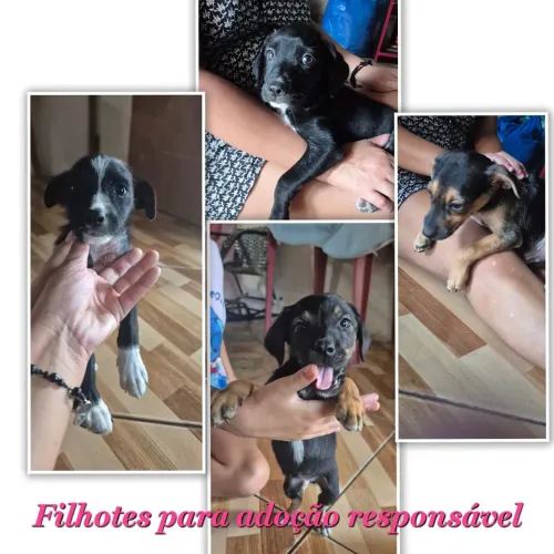Doação