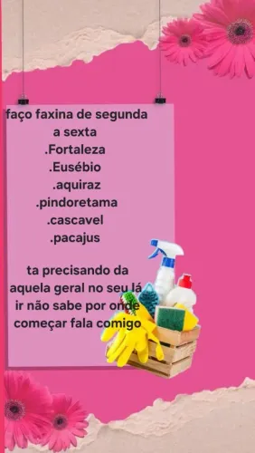 Faxina e serviços gerais ir em geral 