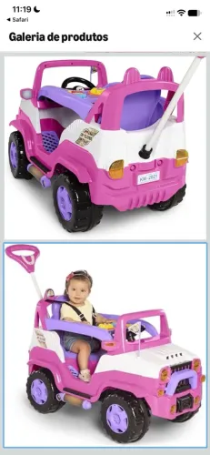 Carro de passeio calesita