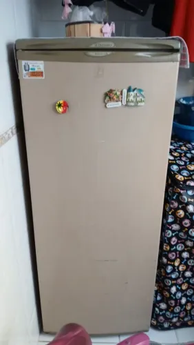 Geladeira Electrolux 310L