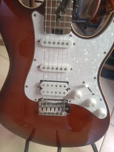 Guitarra waldman