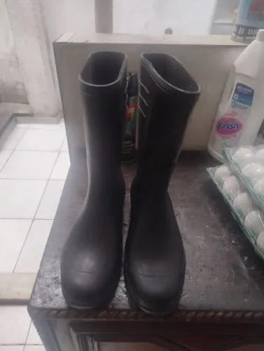 Bota 