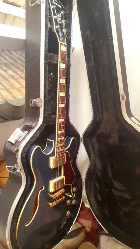 SEMI ACUSTICA IBANEZ com Case Gator