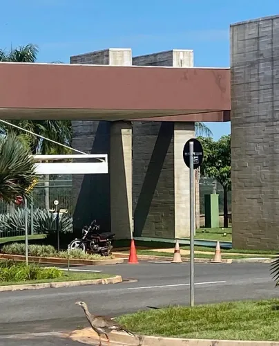 anúncio: 1. ? Excelente Oportunidade! Lote Condomínio Damha I