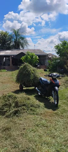 Carretinha Pequena 
