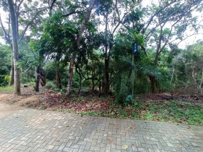Vendo lote esquina, Praia do Forte, 450m2, esquina.