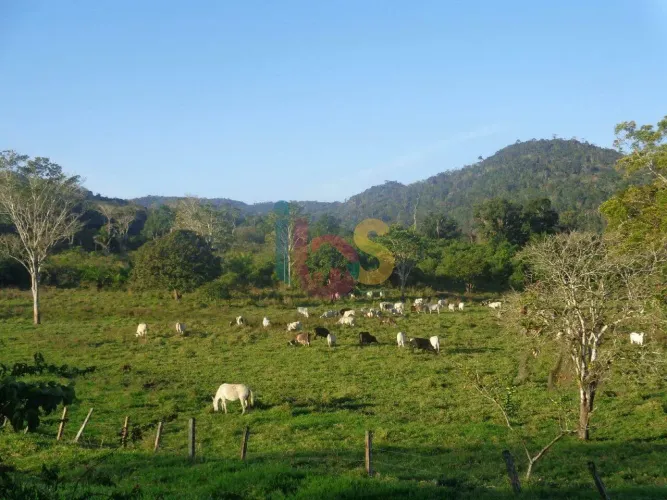 Fazenda Maranata