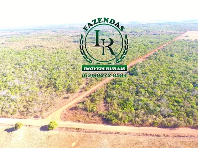Fazenda Agricultável, Área de 103 alqueires, Vale do Araguaia