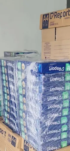 Compramos  papel sulfite A4  Chamex,  Report