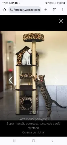 Arranhador para gato 