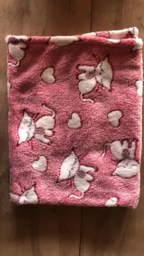 Manta de Microfibra Infantil