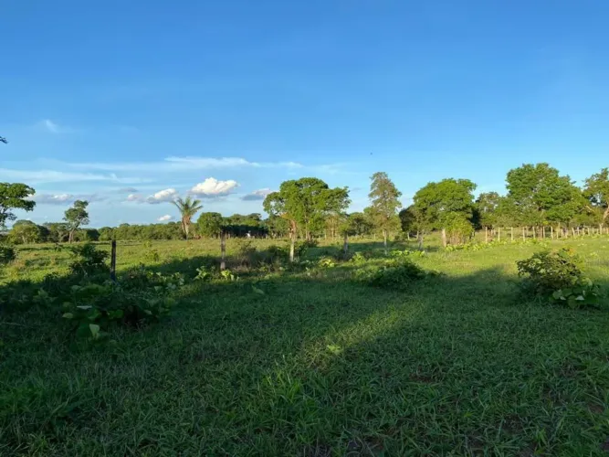 Fazenda 45 alq a 6 km de Jussara Go. Valor 5 milhões.