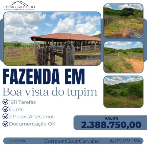 FAZENDA EM BOA VISTA DO TUPIM - 1911 TAREFAS