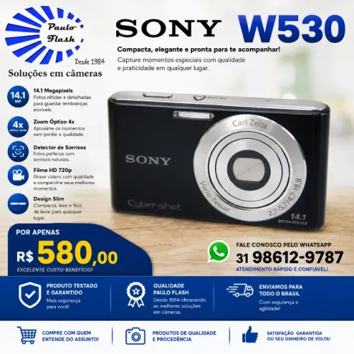 Sony W530