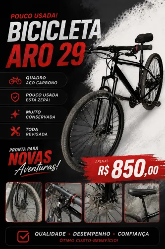 BICICLETA ARO 29