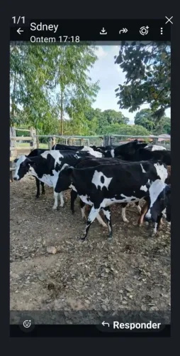 Agropecuária 