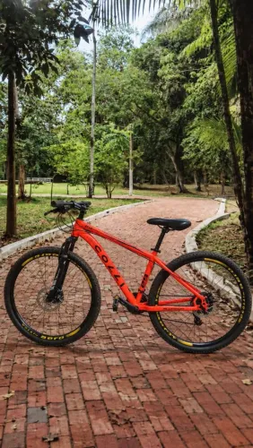 Bicicleta