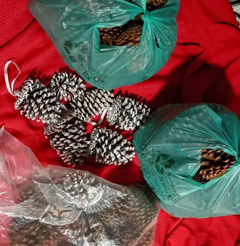Pinhas naturais - Materiais para artesanato de Natal