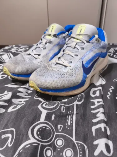 Tênis Nike Winflo 11