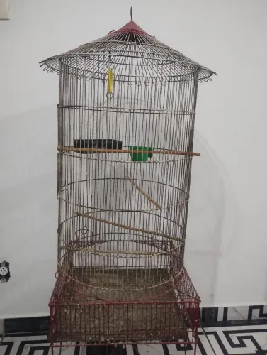 Vendo viveiro de pássaros 