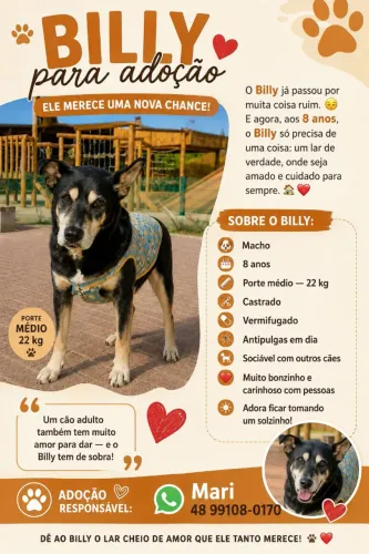DOAÇÃO CACHORRO MUITO AMOROSO