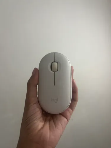 Mouse 