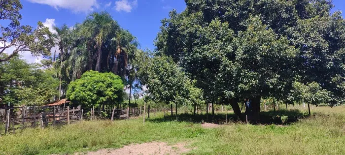 Chácara em Cromínia go.6.27 alqueires 80km de Goiânia 1.900.000<br>80 Km de Goiânia