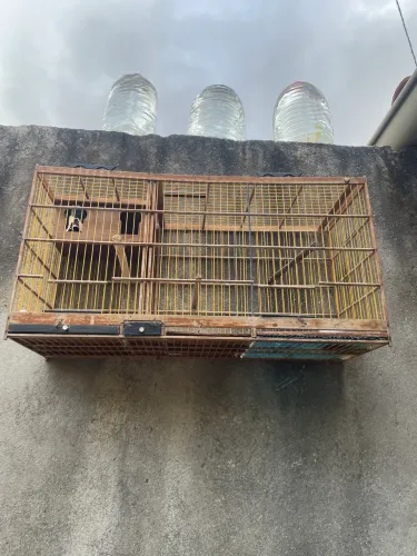 GAIOLA PRA VENDER LIGEIRO
