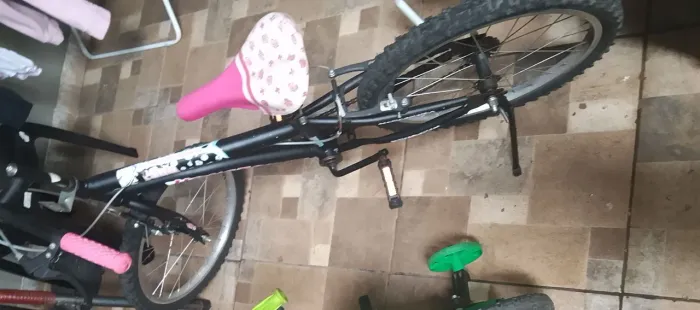 Bicicleta