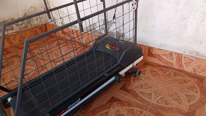 ESTEIRA elétrica para cães....com todas as velocidades