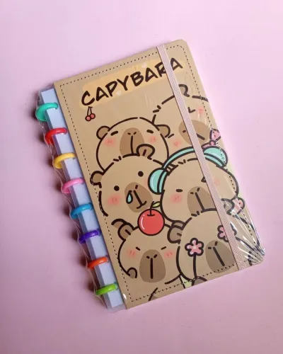 Caderno de discos inteligente capivara A5