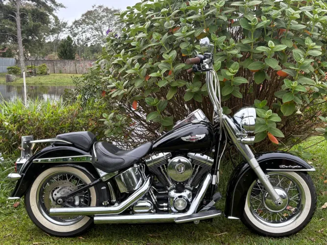 Harley Davidson - Softail Deluxe FLSTN