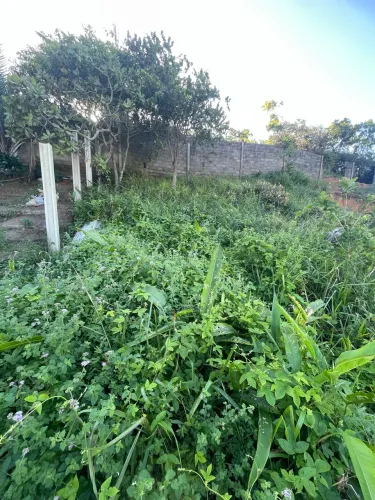 Localização Grota do nereu s/n riacho doce