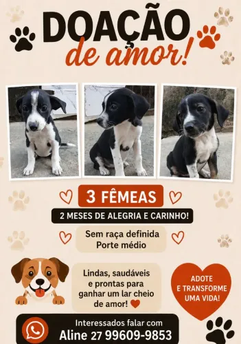 Doação de Filhotes de Cachorro