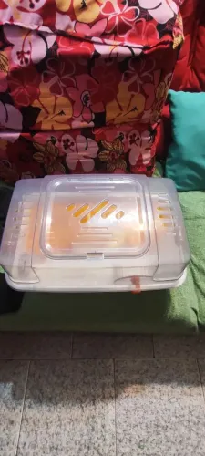Casinha para hamster