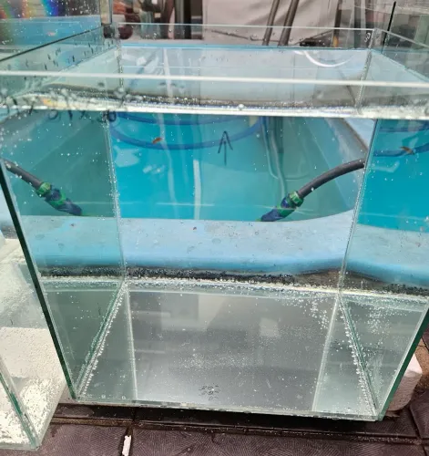 Aquario 31x31x30 (28 litros) aceito cartão 