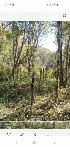 Vendo chácara na Lapa Pr