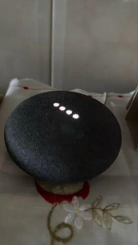 Google Nest Mini
